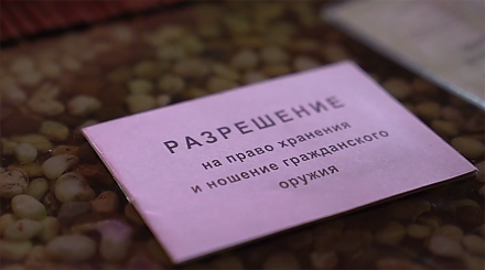 МВД проведет профилактическую акцию "Арсенал" для выявления нелегального оружия