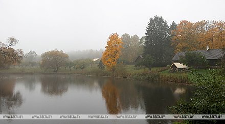 Оранжевый уровень опасности объявлен из-за усиления ветра на 4 ноября в Беларуси