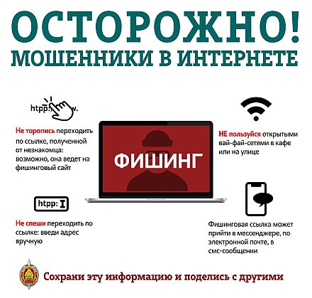 Осторожно! Мошенники в интернете! (Инфографика)