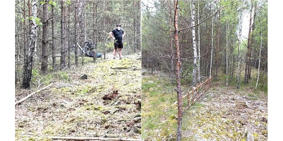 Гражданин Польши задержан на литовской границе при попытке перелезть через забор в Беларусь
