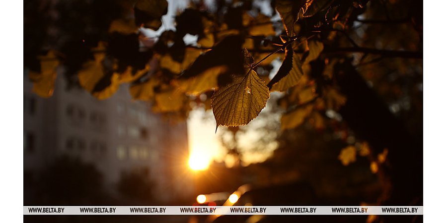 Тепло и дождливо будет в Беларуси 3 ноября