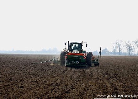 Гродненская область вырвалась в лидеры посевной