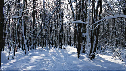 Народные приметы на 3 февраля: что можно и нельзя делать в этот день