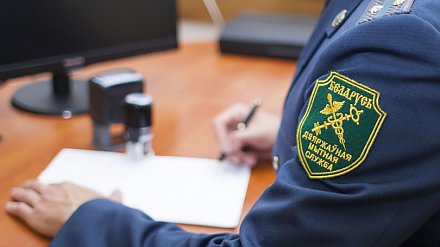 Собираетесь везти вино из-за границы? Узнайте, сколько можно провезти без штрафа!