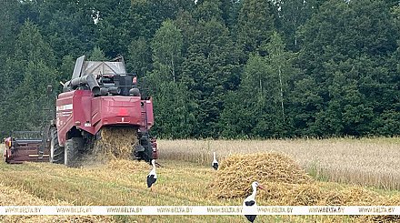 В этом году аграриям страны поставлено 200 новых комбайнов