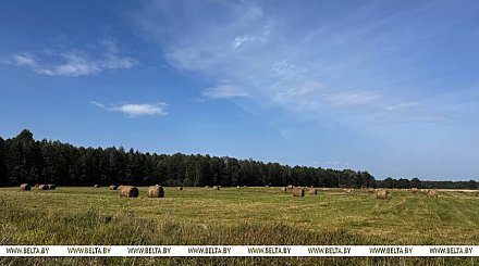 До +20°С ожидается сегодня в Беларуси