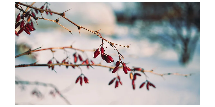 Подарите любимым подарок: народные приметы на 14 февраля