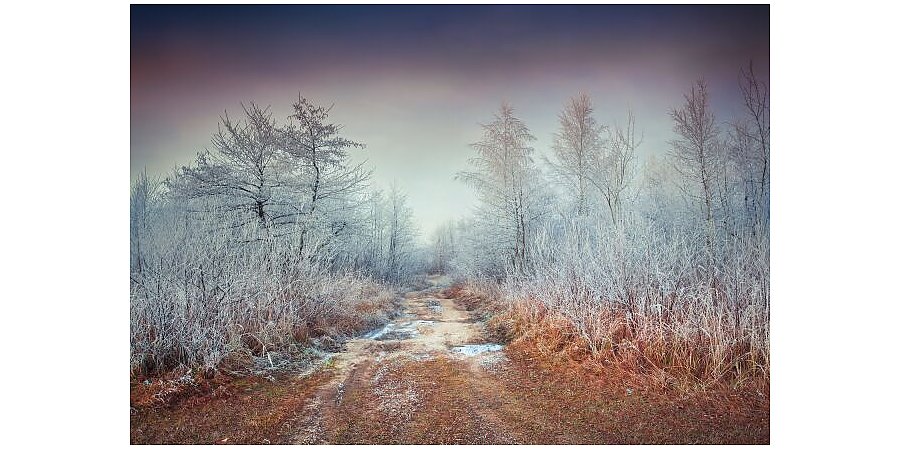 Приметы на 24 ноября 2025: на Федора Мороза приготовьте щи