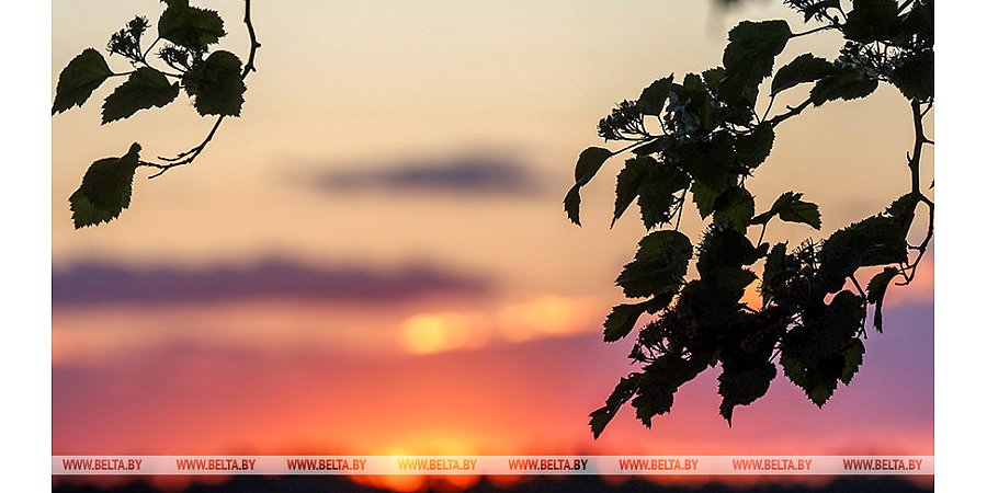 Утренний туман и грозы подготовила погода 12 июня