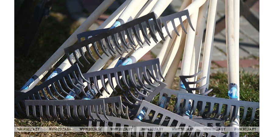 Проекты к 80-летию Победы и благоустройство. Чему уделит внимание гродненская молодежь в 2025-м