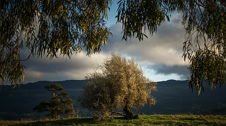 Народные приметы на 3 сентября: что можно и нельзя делать в этот день