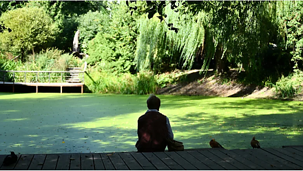 Народные приметы на 27 июня: что можно и нельзя делать в этот день