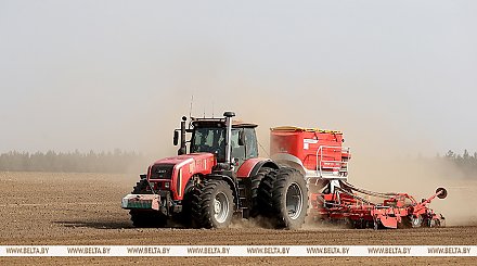 В Беларуси завершили сев сахарной свеклы