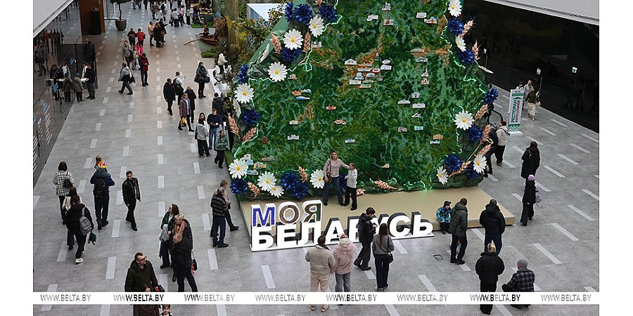 Познавательно, увлекательно, красиво. На выставке "Моя Беларусь" в праздничные выходные ажиотаж