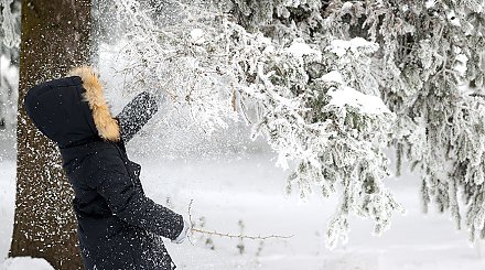 Кратковременный снег по юго-западу, на дорогах - гололедица. Синоптики о погоде на сегодня