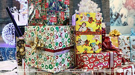 Беловежская пуща, хоккей и другие мечты. 100 детских желаний исполнят депутаты в Гродненской области