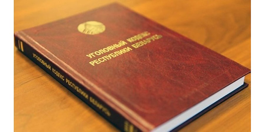 Блогеры из Гродно собирали деньги на лечение ребенка, но большую часть потратили на развлечения