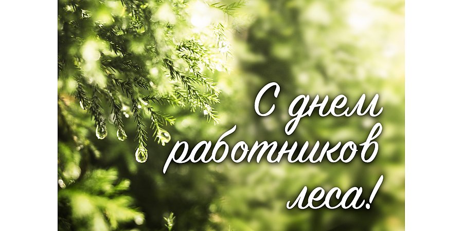 Поздравление Вороновского райисполкома и Вороновского райсовета депутатов с Днем работников леса!