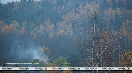 В МЧС напомнили о факторах опасности из-за тумана
