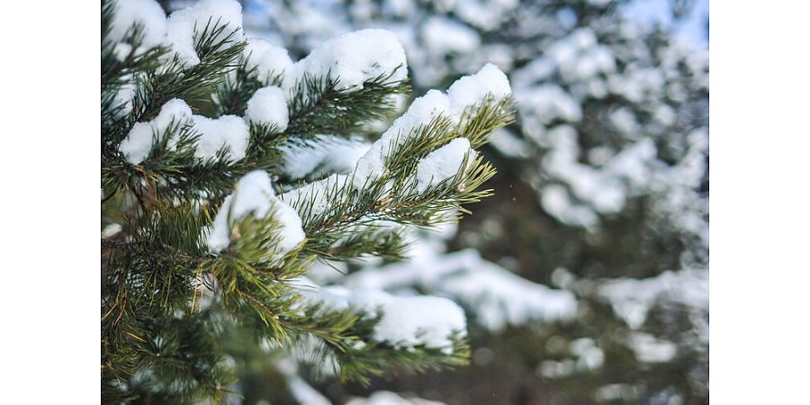 Что нельзя делать в Ведьмины посиделки: приметы на 26 декабря 2025