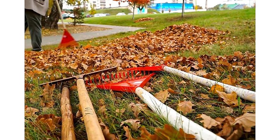 Толока: почему субботник у белорусов в крови