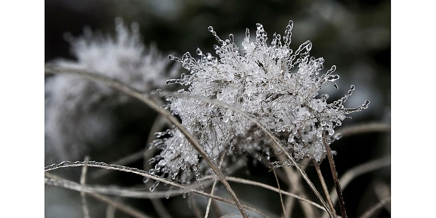 До +14°C. Где в Беларуси будет теплее всего в субботу