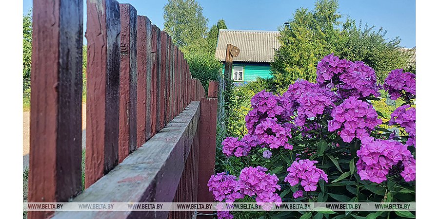 Нотариус: купить участок для ведения подсобного хозяйства теперь можно без регистрации по месту