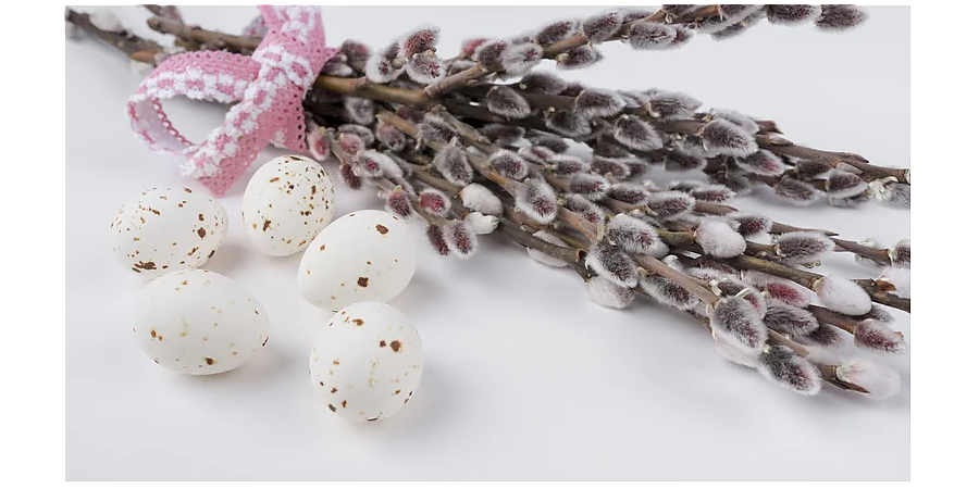 Принесите в дом вербу: народные приметы на 21 марта 