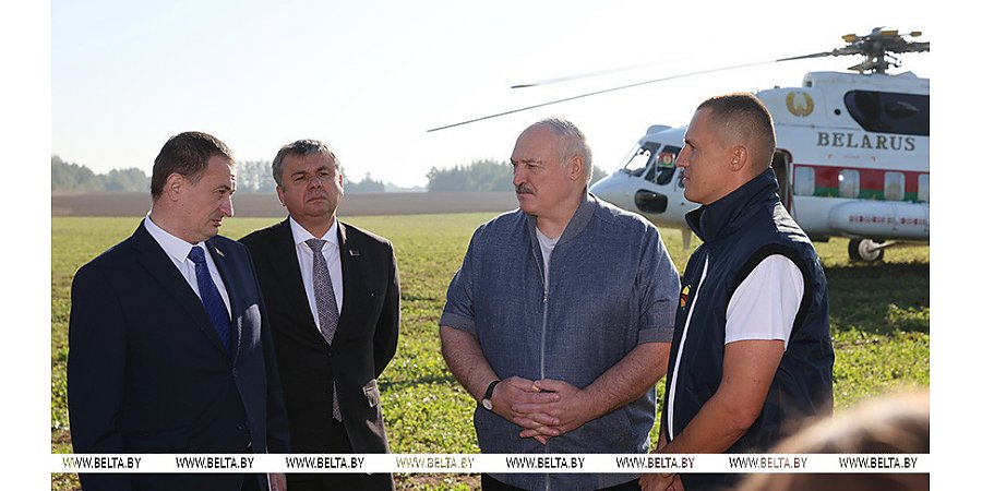 "Перестать кланяться импортному яблоку". Лукашенко о задаче страны в плодоводстве