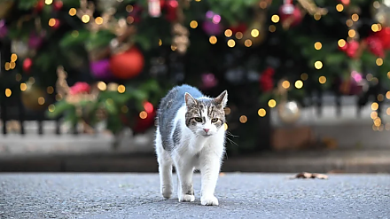Начните соблюдать ограничения: народные приметы на 28 ноября 