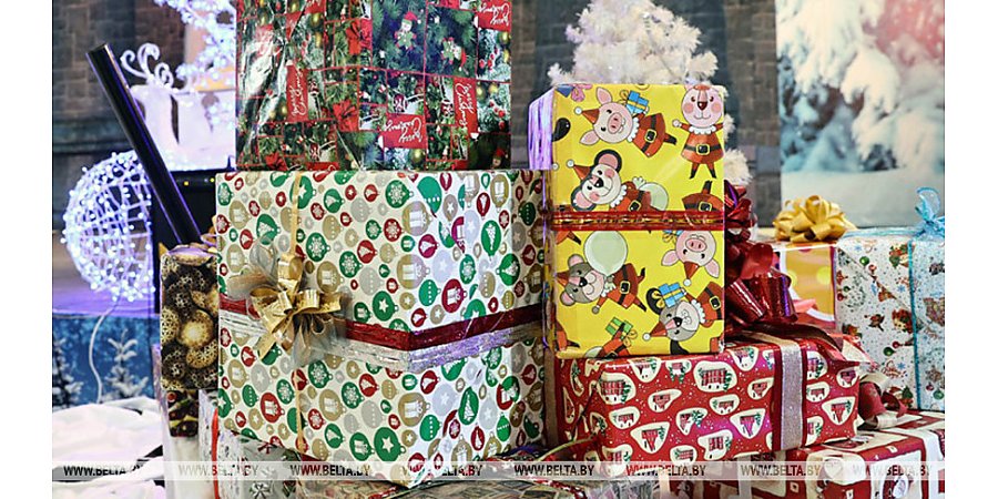 Беловежская пуща, хоккей и другие мечты. 100 детских желаний исполнят депутаты в Гродненской области