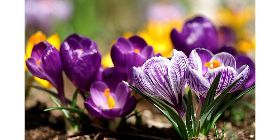 Контрасты и рекорды. Какой была погода в Беларуси в апреле