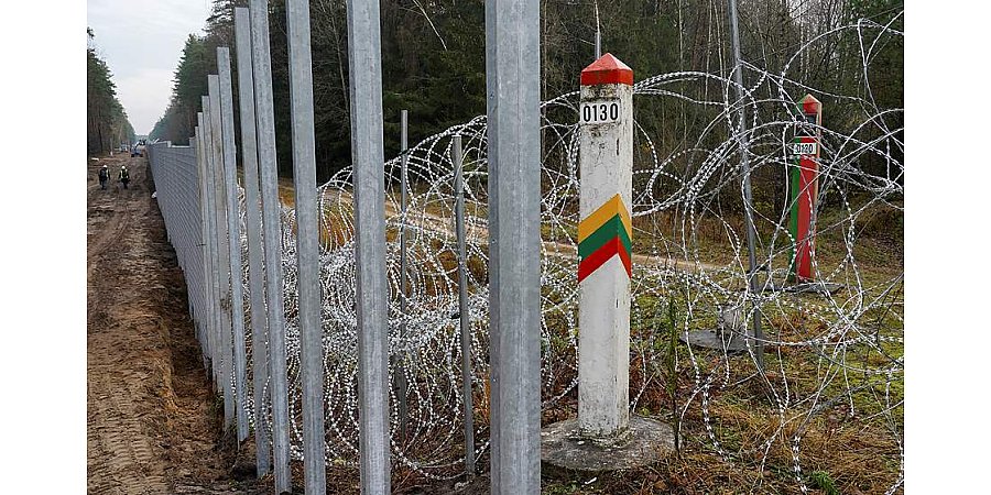 Очередная жертва литовской колючки: на границе обнаружен павший лось