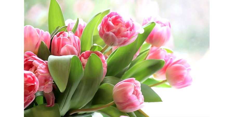 Народные календарь на 8 марта: особое внимание женщинам