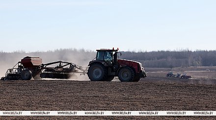 Посадку картофеля в Беларуси выполнили более чем на половину