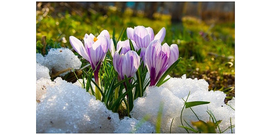 Не наступайте на сугробы: народные приметы на 9 марта 2026