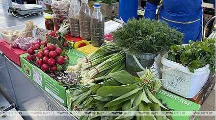 В сфере торговли и общественного питания задействовано 16% занятого населения Беларуси