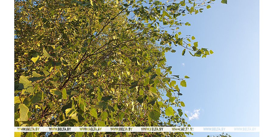 По-летнему теплая погода будет сегодня в Беларуси