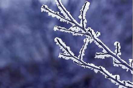 В Гродненской области на Рождество ожидаются морозы