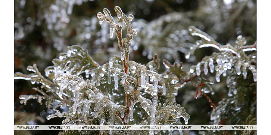 Спасатели предупредили о факторах опасности при гололеде