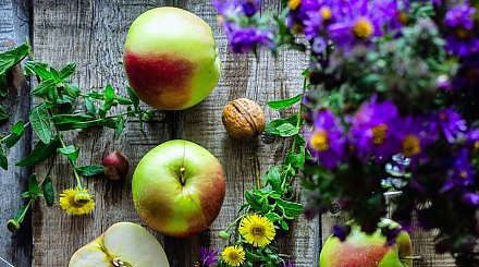 Что делать на даче 1 сентября 2025 года: советы по посадке и уходу за растениями