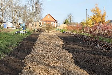 Наведение порядка на участке перед зимой: на что обратить внимание