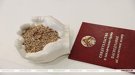 Более половины браков белорусок с иностранцами в 2025 году заключалось с россиянами