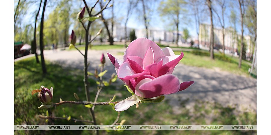 Оранжевый уровень опасности из-за жары объявлен в Беларуси 6 мая
