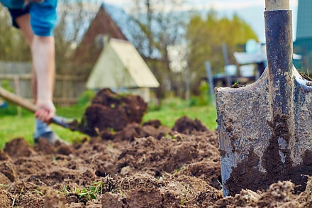 Не губите землю и будущий урожай: список подкормок, которые нельзя добавлять осенью