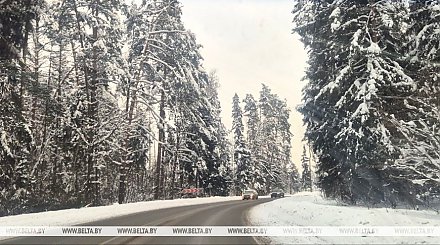 Снег с дождем и до +2°С. Какой будет погода в Беларуси сегодня