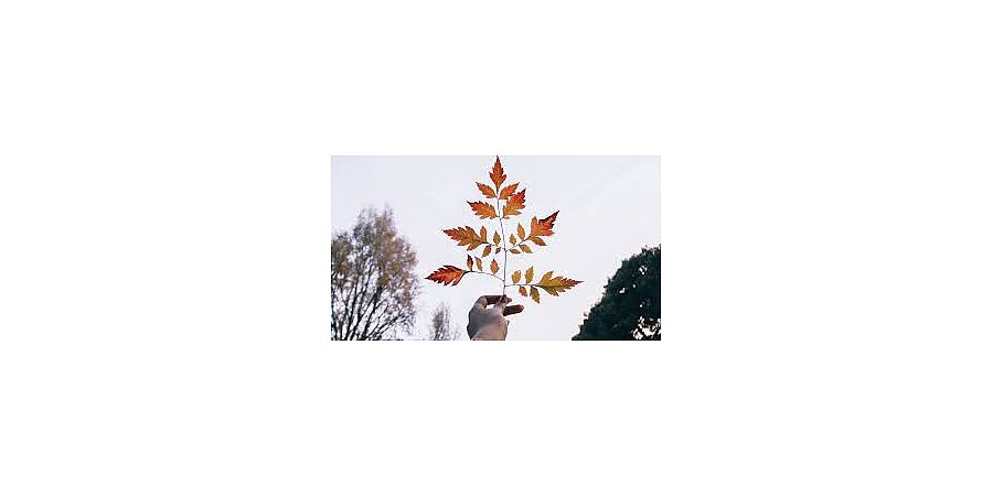 Народные приметы на 14 сентября 2025 года: что можно и нельзя делать в этот день