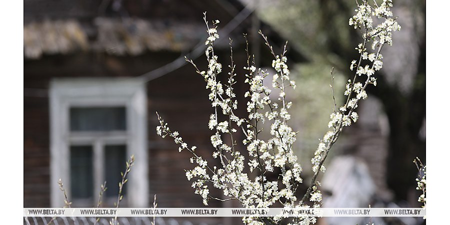Ветрено и без осадков. Синоптики рассказали о погоде 24 апреля
