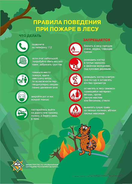 Служба 101 напоминает о пожарной безопасности в лесу