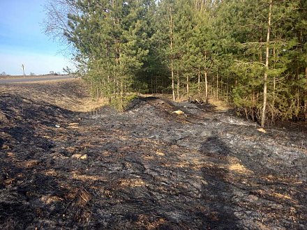 В Вороновском районе при пожаре погиб мужчина — его обнаружили среди выгоревшей травы